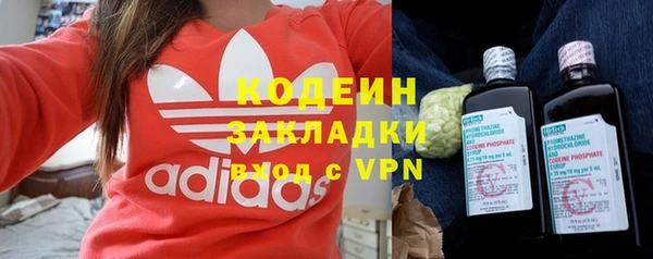 твердый Гусев
