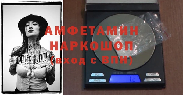 твердый Гусев