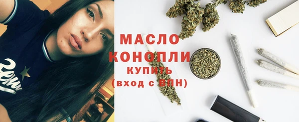 твердый Гусев