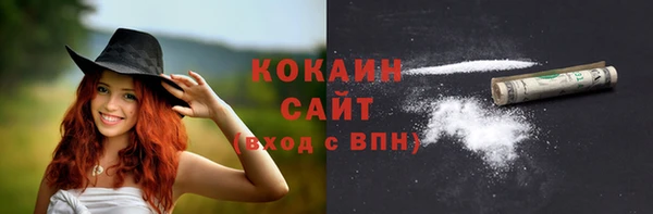 твердый Гусев
