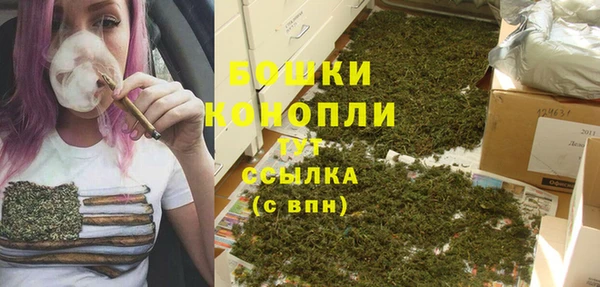 СК Гусь-Хрустальный