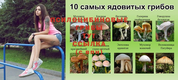 не бодяженный Гусиноозёрск