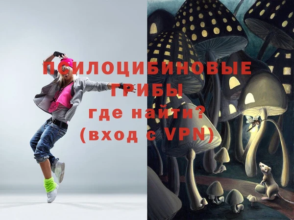 твердый Гусев