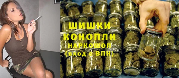 СК Гусь-Хрустальный