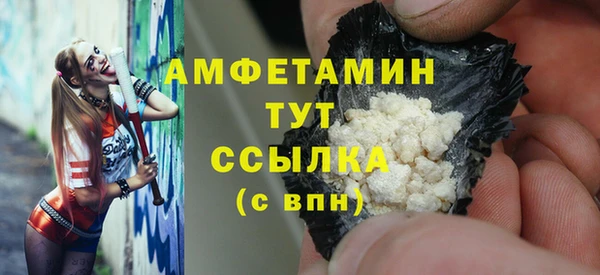 твердый Гусев