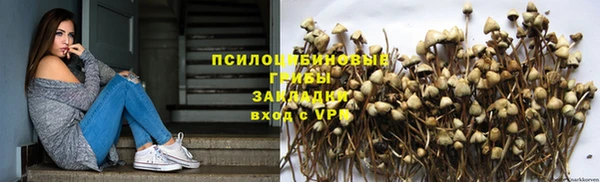 не бодяженный Гусиноозёрск
