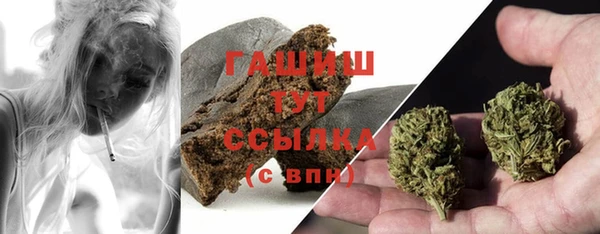 твердый Гусев