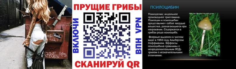 Псилоцибиновые грибы Magic Shrooms  Новочебоксарск 